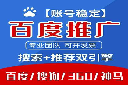 SEM服务案例：打造行业领先品牌
